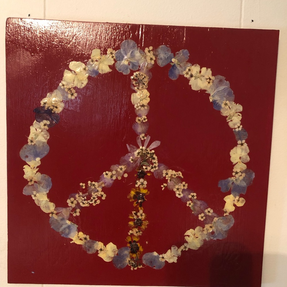 Peace Sign Pressed flower art wall plaque